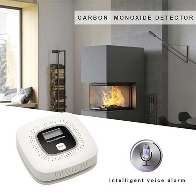 Carbon Monoxide Detector