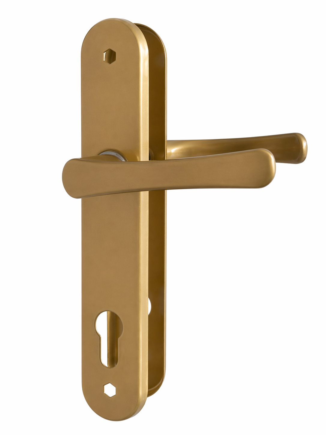 Poignée de porte dorée moderne 21 cm – Poignée à levier avec plaque de serrure pour portes intérieures et extérieures