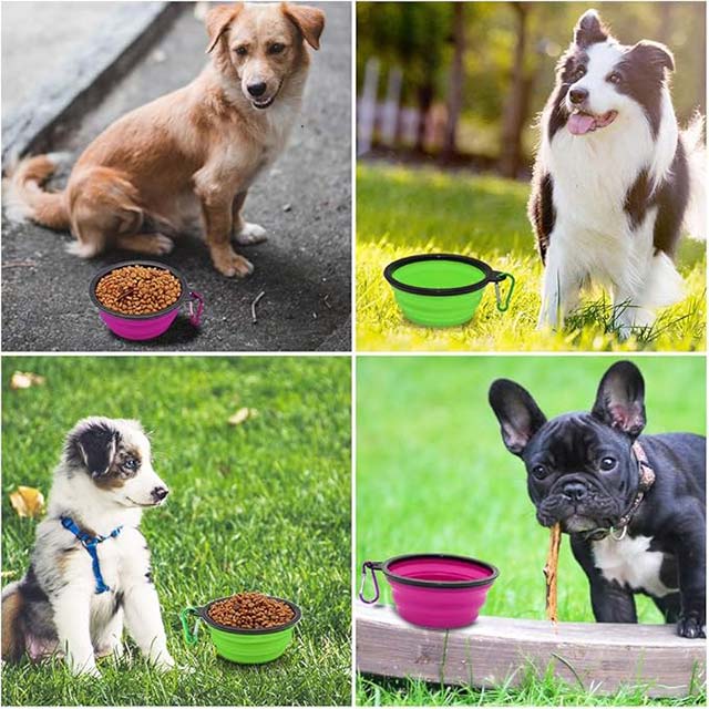 350 ML Orange Collapsible Silicone Dog Bowl – Portable Pet Feeding Water & Food Bowl with Lid & Carabiner for Travel, Camping & Walking