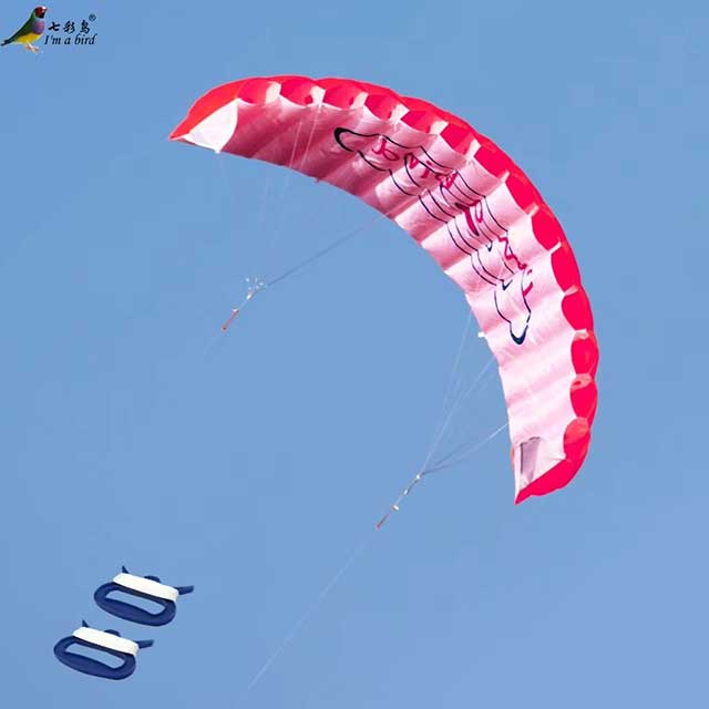 Dual Line Stunt Parafoil Kite – Rainbow Power Sports Kite for Beginners & Beach Fun