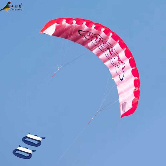 Dual Line Stunt Parafoil Kite – Rainbow Power Sports Kite for Beginners & Beach Fun