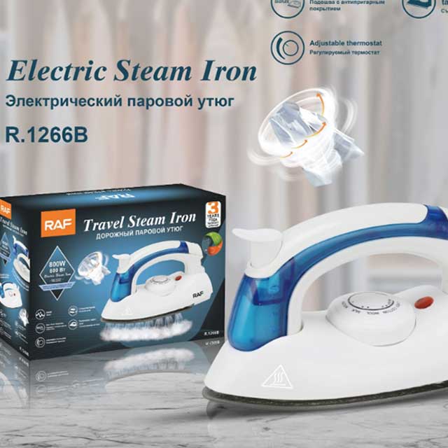 700W Electric Steam Iron Handheld Flatiron – Temperature Control for Home & Travel, 110V/220V