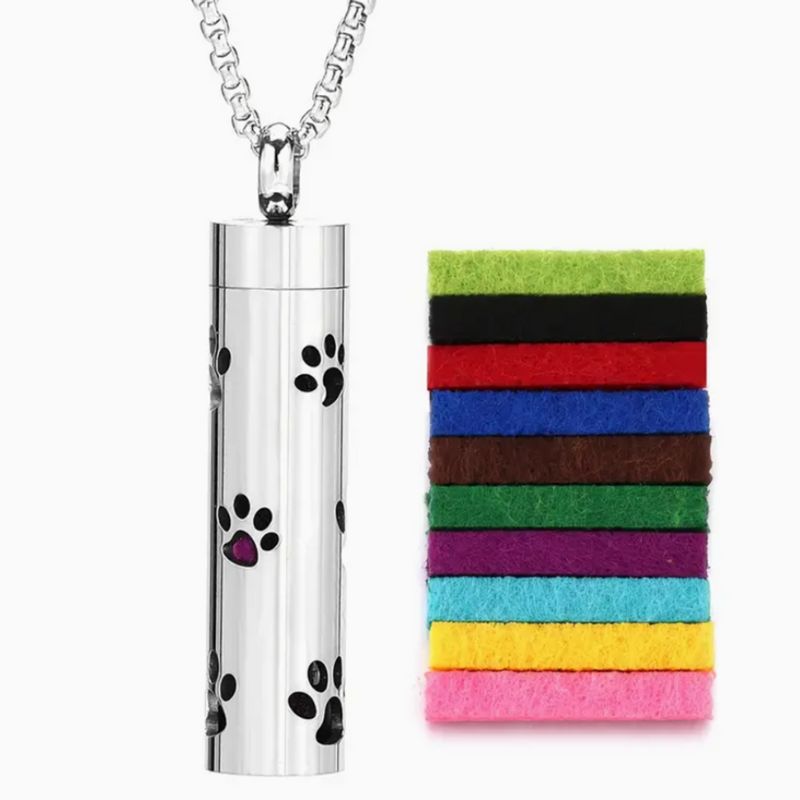 Magnifique Collier Diffuseur d'Huiles Essentielles en Acier Inoxydable – Médaillon Diffuseur pour Usage Quotidien – Bijoux en Acier Inoxydable 304 de Qualité Supérieure avec 10 Tampons Rechargeables Colorés
