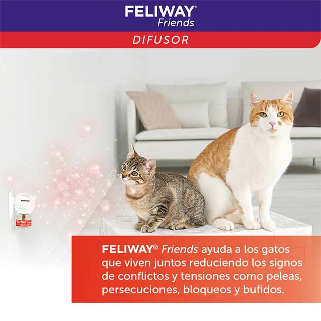 FELIWAY Friends Cat Diffuser Refill 48ml – Multi-Cat Calming Pheromone Solution for Stress Relief