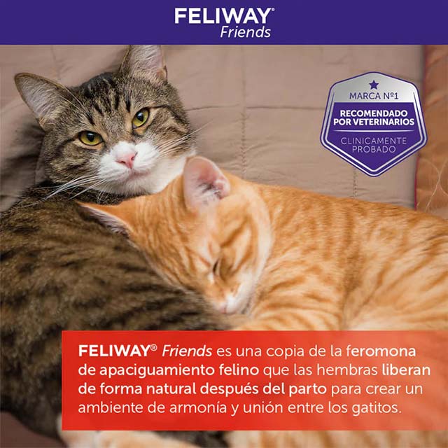 FELIWAY Friends Cat Diffuser Refill 48ml – Multi-Cat Calming Pheromone Solution for Stress Relief