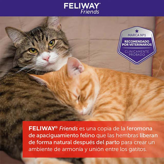 FELIWAY Friends Cat Diffuser Refill 48ml – Multi-Cat Calming Pheromone Solution for Stress Relief
