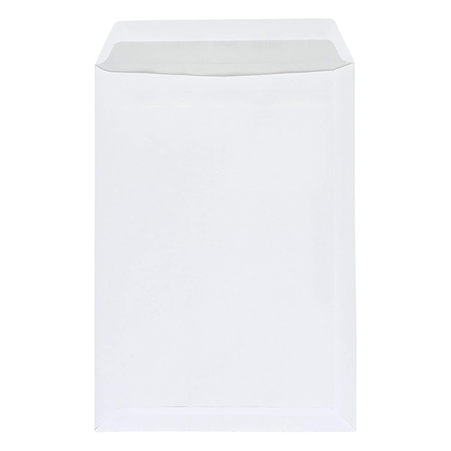 FSC Certified DIN C4 Shipping Bag