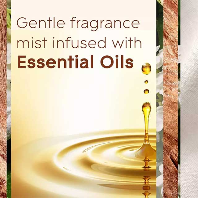 Glade Sense Air Freshener Twin Refill