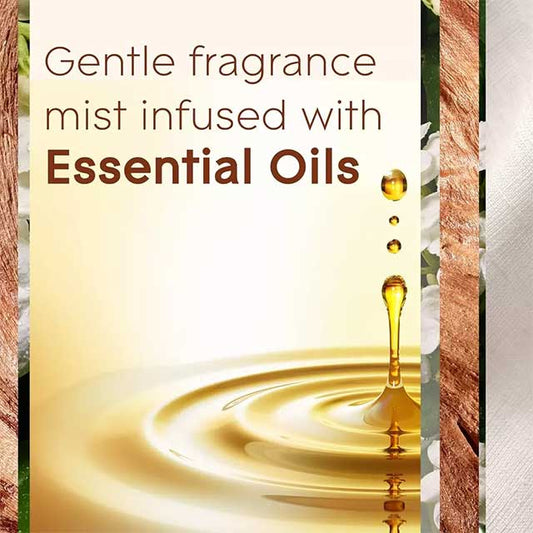 Glade Sense Air Freshener Twin Refill