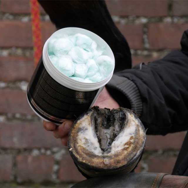 Handcrafted Unique Horn Silver Hoof Balls