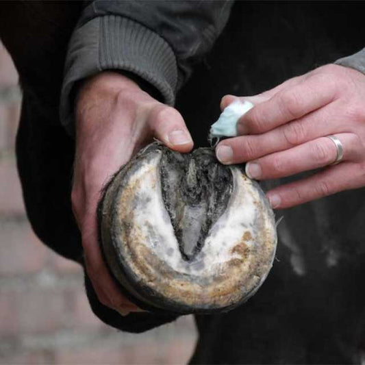 Handcrafted Unique Horn Silver Hoof Balls