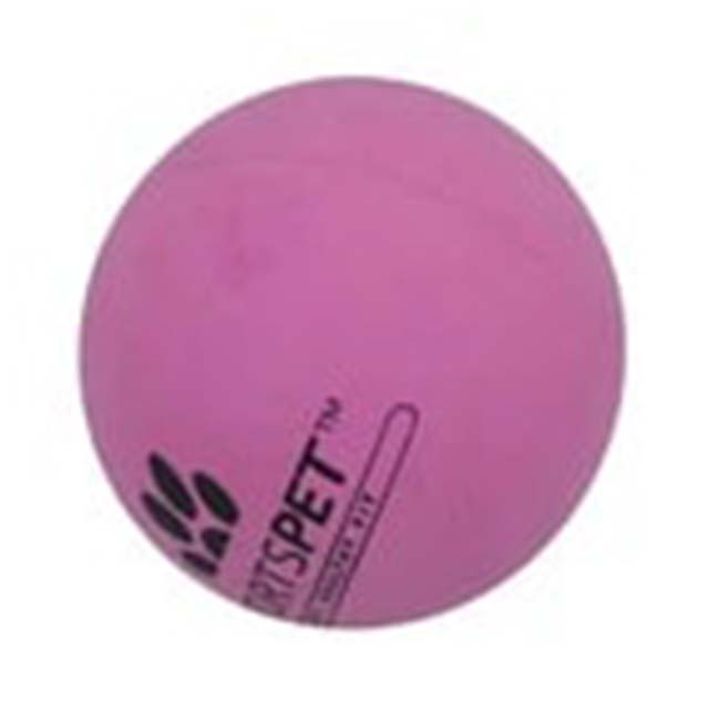 High Bounce Premium Non-Toxic Rubber Dog Ball – Assorted Pink Play Toy