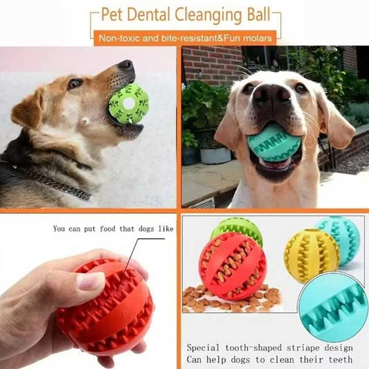 Interactive Dog Ball Toy – Elastic Rubber Chew Toy for Small Dogs, Puppy Tooth Cleaning & Treat Dispensing Ball
