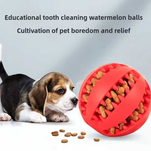 Interactive Dog Ball Toy – Elastic Rubber Chew Toy for Small Dogs, Puppy Tooth Cleaning & Treat Dispensing Ball
