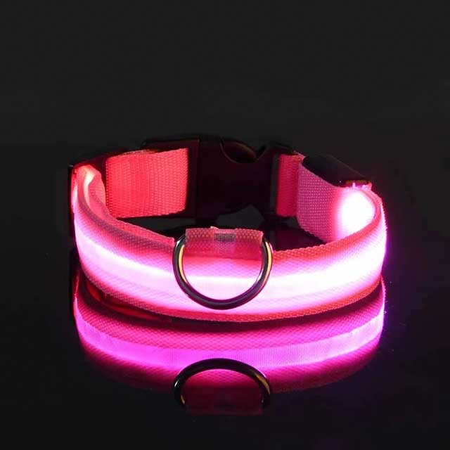 LED Glowing Dog Leash & Collar – Nylon Night Safety Flashing Light-Up Pet Set, Glow-in-the-Dark for Dogs