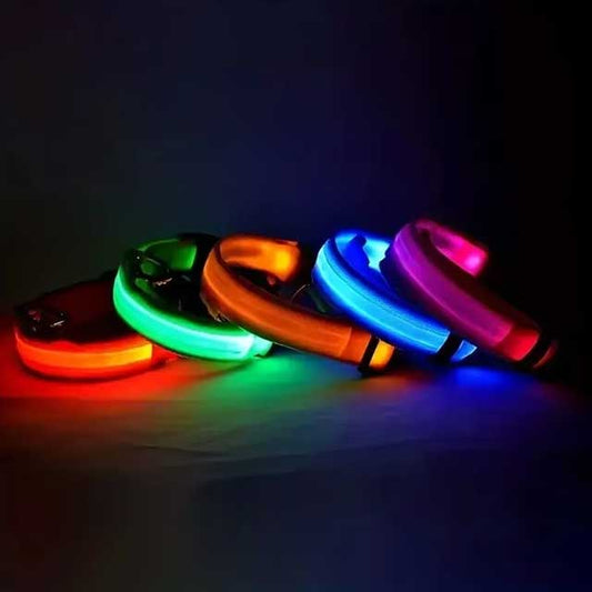 LED Glowing Dog Leash & Collar – Nylon Night Safety Flashing Light-Up Pet Set, Glow-in-the-Dark for Dogs