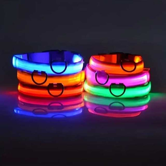 LED Glowing Dog Leash & Collar – Nylon Night Safety Flashing Light-Up Pet Set, Glow-in-the-Dark for Dogs