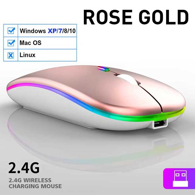 LED Wireless Bluetooth Mouse – USB Rechargeable RGB Silent Ergonomic Mouse with Backlight for Laptop, PC & iPad