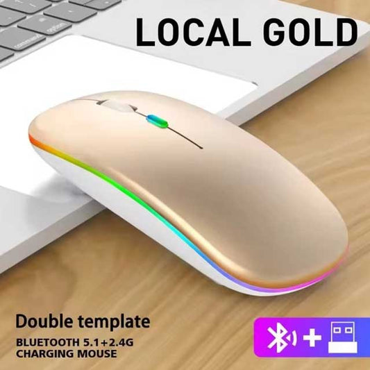 LED Wireless Bluetooth Mouse – USB Rechargeable RGB Silent Ergonomic Mouse with Backlight for Laptop, PC & iPad