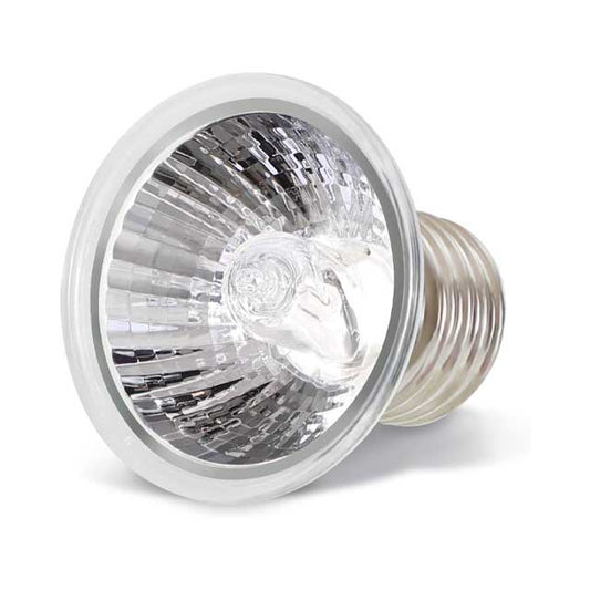 LEDGLE 25W Reptile Heat Bulb – E27 UVA/UVB Tortoise &amp; Amphibian Heat Lamp for Lizards, Turtles, and Snakes