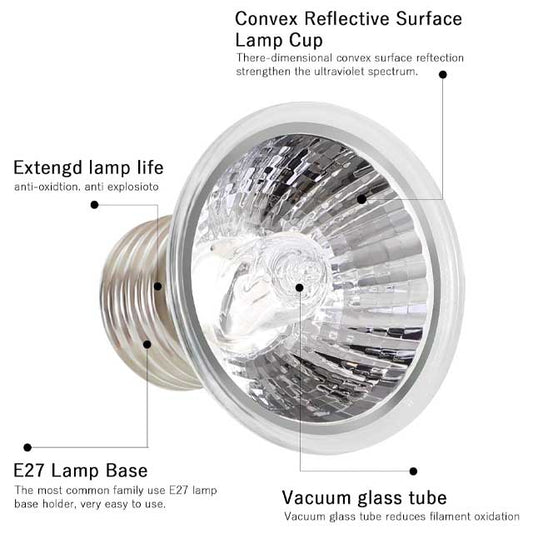 LEDGLE 25W Reptile Heat Bulb – E27 UVA/UVB Tortoise &amp; Amphibian Heat Lamp for Lizards, Turtles, and Snakes