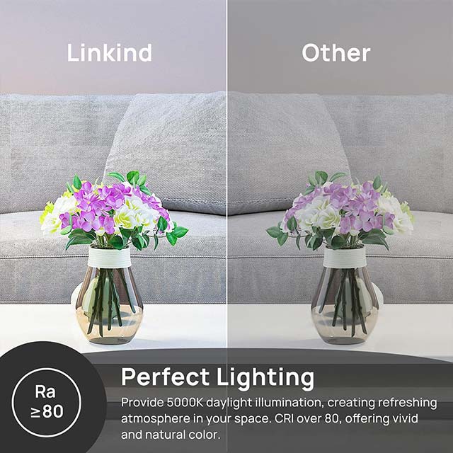 Linkind E14 LED Candle Light Bulbs 4.9W (40W Equivalent) – 5000K Cool White, 500 Lumen, CE/RoHS/ErP Certified, Non-Dimmable Pack of 6