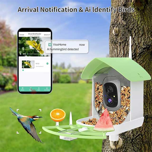 Lollyes AI Smart Bird Feeder Camera
