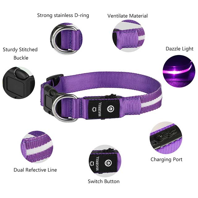 MASBRILL LED Dog Collar – Waterproof &amp; USB Rechargeable Glowing Safety Collar for Night Walks, Flashing LED Light for Small, Medium &amp; Large Dogs – Purple