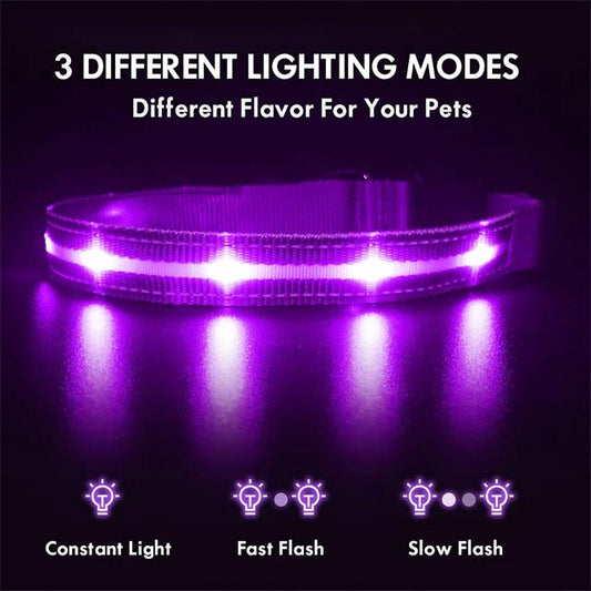MASBRILL LED Dog Collar – Waterproof &amp; USB Rechargeable Glowing Safety Collar for Night Walks, Flashing LED Light for Small, Medium &amp; Large Dogs – Purple