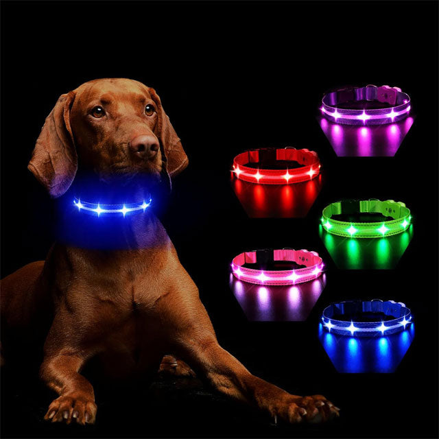 MASBRILL RGB LED Dog Collar – Rechargeable, Water-Resistant Light Up Collar for Night Walking &amp; Dog Safety