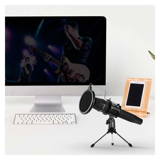 Mini Desktop Microphone Stand with Dual Mesh Pop Filter - Black, Ideal for Recording &amp; Streaming