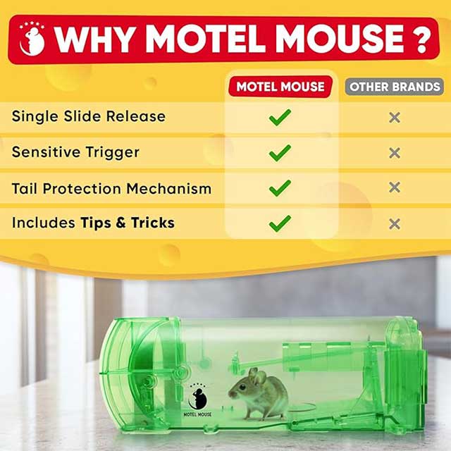 Motel Mouse Humane Mouse Trap