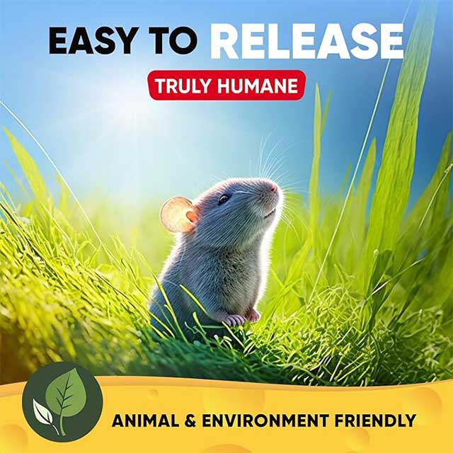 Motel Mouse Humane Mouse Trap