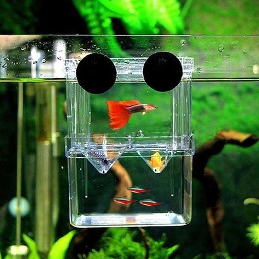 Multifunctional Clear Aquarium Breeding Box – Fish Isolation & Hatching Incubator for Guppies & Small Fish