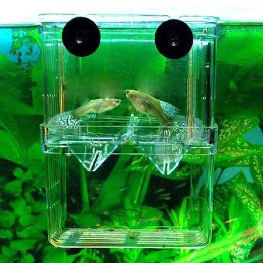 Multifunctional Clear Aquarium Breeding Box – Fish Isolation & Hatching Incubator for Guppies & Small Fish