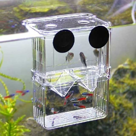 Multifunctional Clear Aquarium Breeding Box – Fish Isolation & Hatching Incubator for Guppies & Small Fish