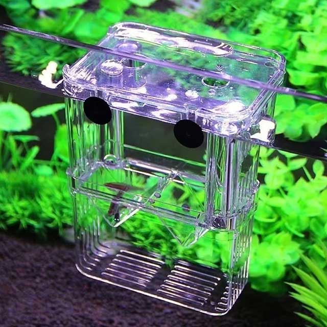 Multifunctional Clear Aquarium Breeding Box – Fish Isolation & Hatching Incubator for Guppies & Small Fish