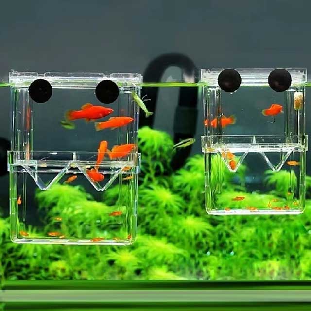Multifunctional Clear Aquarium Breeding Box – Fish Isolation & Hatching Incubator for Guppies & Small Fish