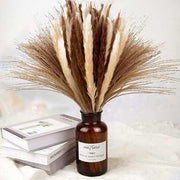 Natural Dried Pampas Grass Decor – Pack of 3 | Elegant White, Brown &amp; Pink Reed Grass for Boho Home Accents