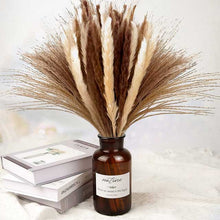 Natural Dried Pampas Grass Decor – Pack of 3 | Elegant White, Brown &amp; Pink Reed Grass for Boho Home Accents