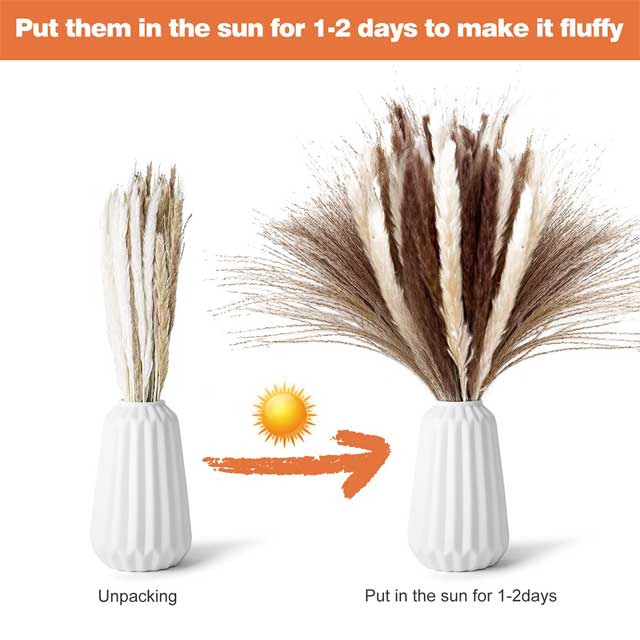 Natural Dried Pampas Grass Decor – Pack of 3 | Elegant White, Brown &amp; Pink Reed Grass for Boho Home Accents