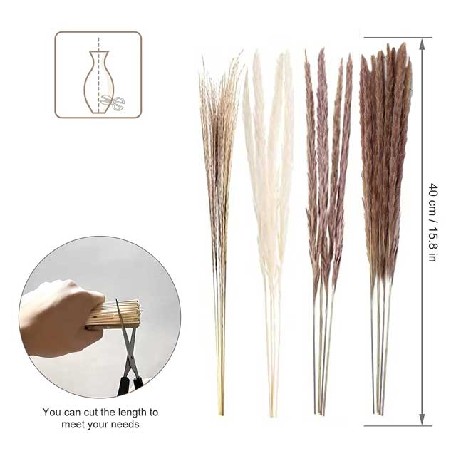 Natural Dried Pampas Grass Decor – Pack of 3 | Elegant White, Brown &amp; Pink Reed Grass for Boho Home Accents