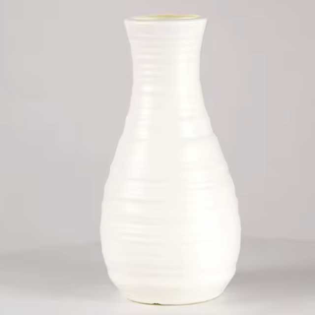 Nordic Style Plastic Vase – Shatter-Resistant Home INS Simulation Vase for Living Room Decor