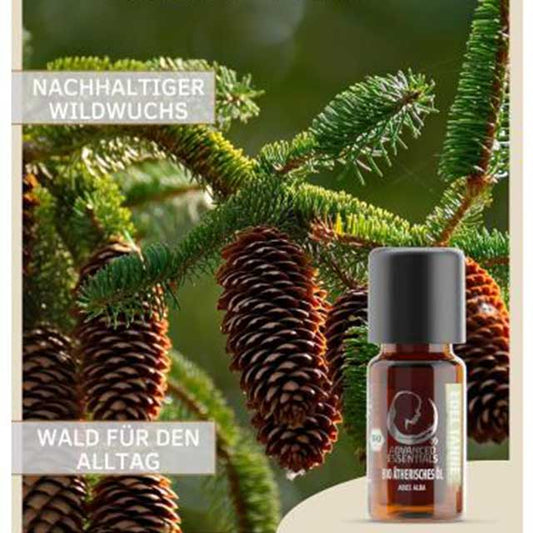 Organic Fir Essential Oil
