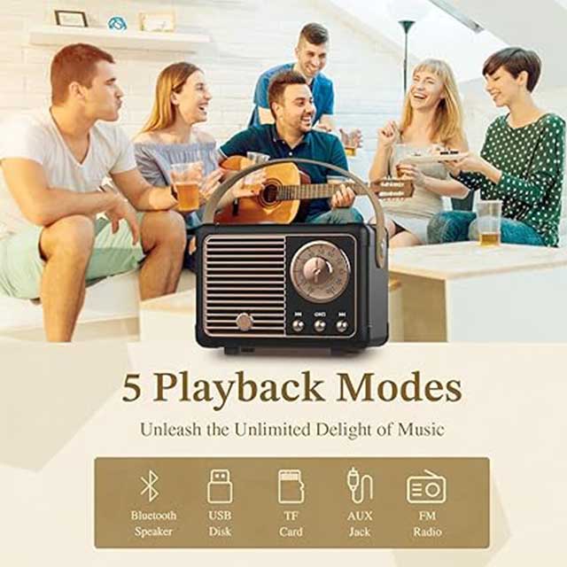 PRUNUS J-999 Mini Bluetooth Speaker with FM Radio