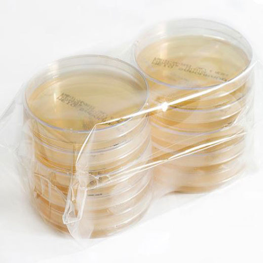 Premium Petri Culture Sabouraud Agar Plate 90x15mm – SAB CR POL C/TP FLW8008 for Laboratory Microbiology Testing
