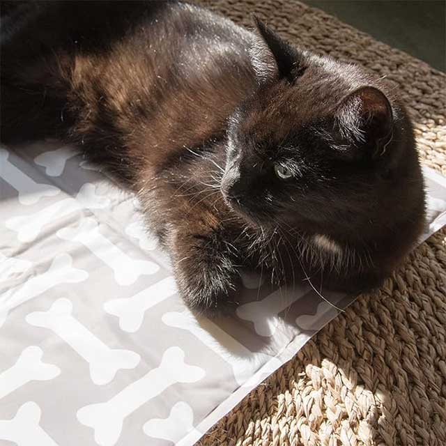 Premium Self-Cooling Pet Mat for Dogs & Cats