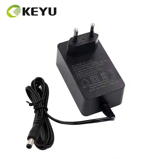 Premium Switching Power Adapter for Portable Vacuum Cleaners – CE, UL, PSE, KC, RCM &amp; ETL Certified