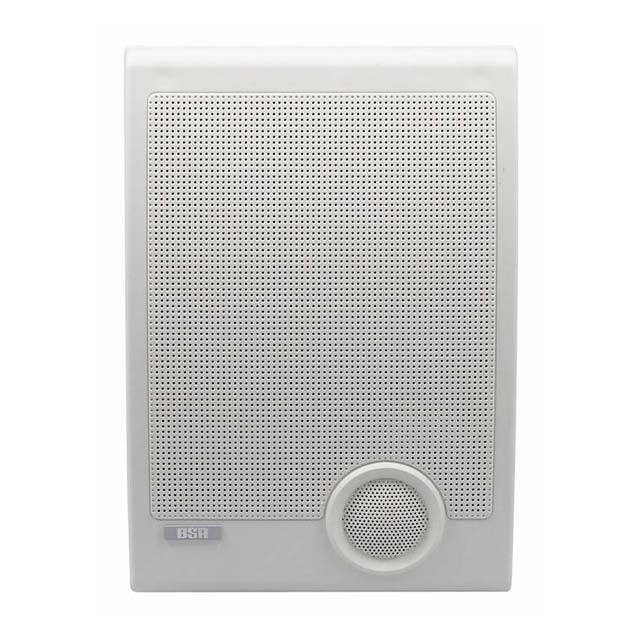 Public Address Wall Speaker - Ideal for Announcements &amp; Background Music - PA System Compatible