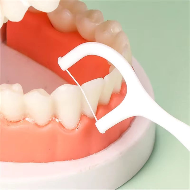 Cure-dents Fil Dentaire Jetables Portables – Brins de Fil Dentaire Haute Tension avec Cure-Dents Intégré – Boîte de Fil Dentaire Format Poche pour Soins Bucco-Dentaires en Déplacement (Lots de 1/2/5/10 Boîtes)